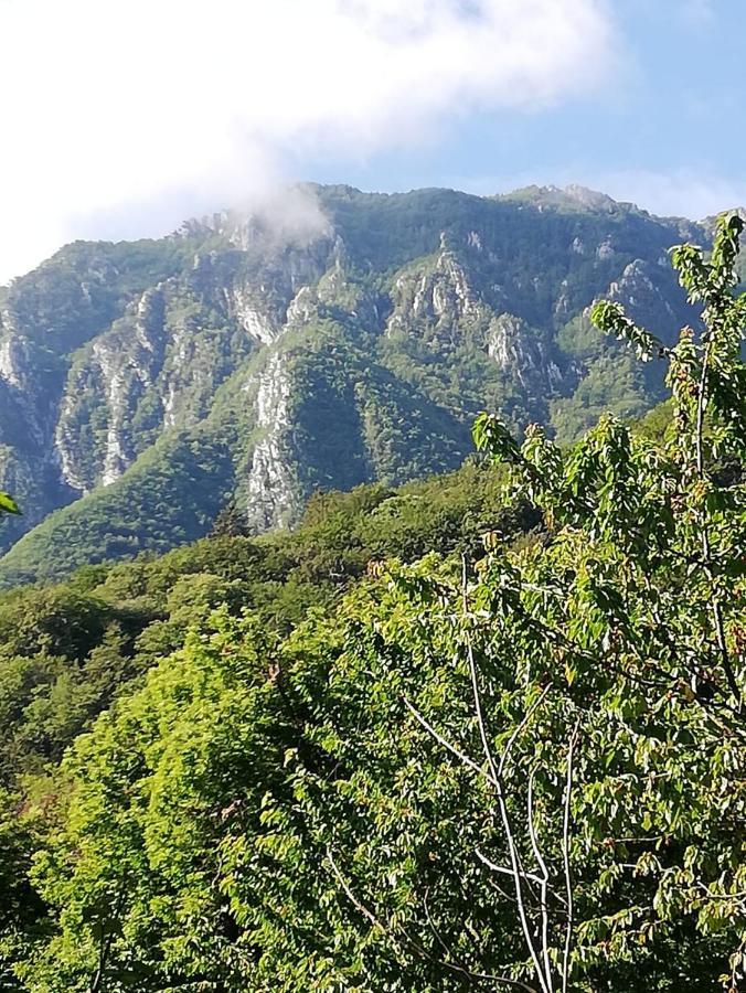 Antica Casa Ortensia Riva del Garda Luaran gambar