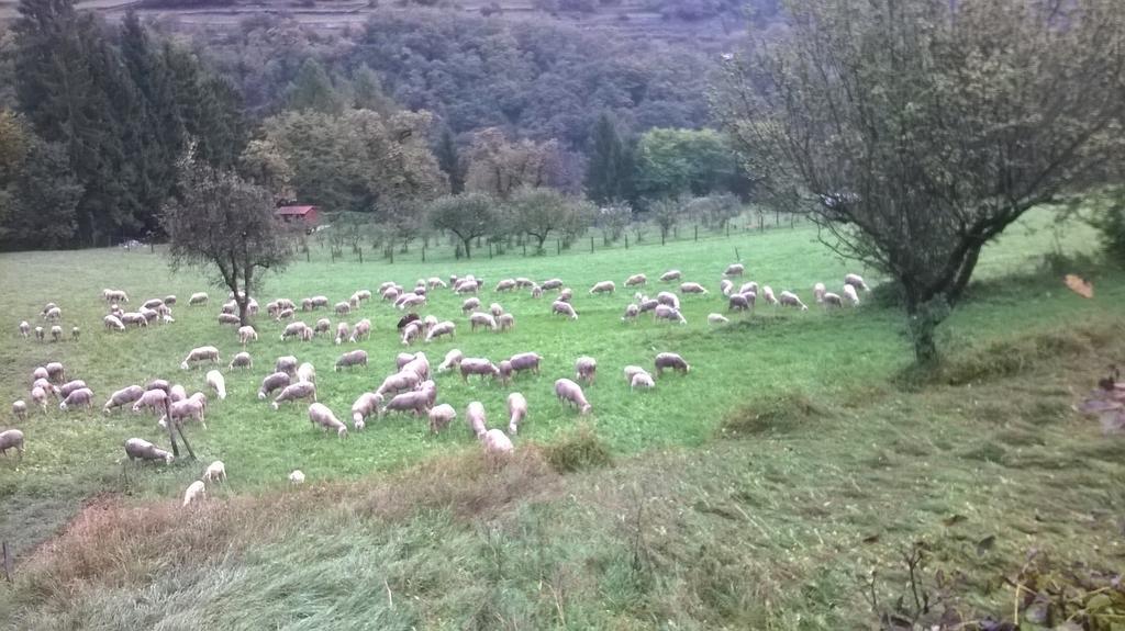 Antica Casa Ortensia Riva del Garda Bilik gambar