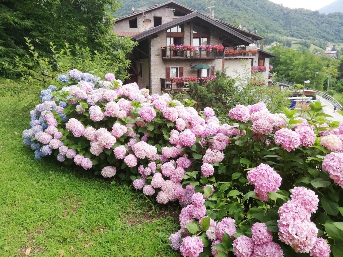 Antica Casa Ortensia Riva del Garda Luaran gambar